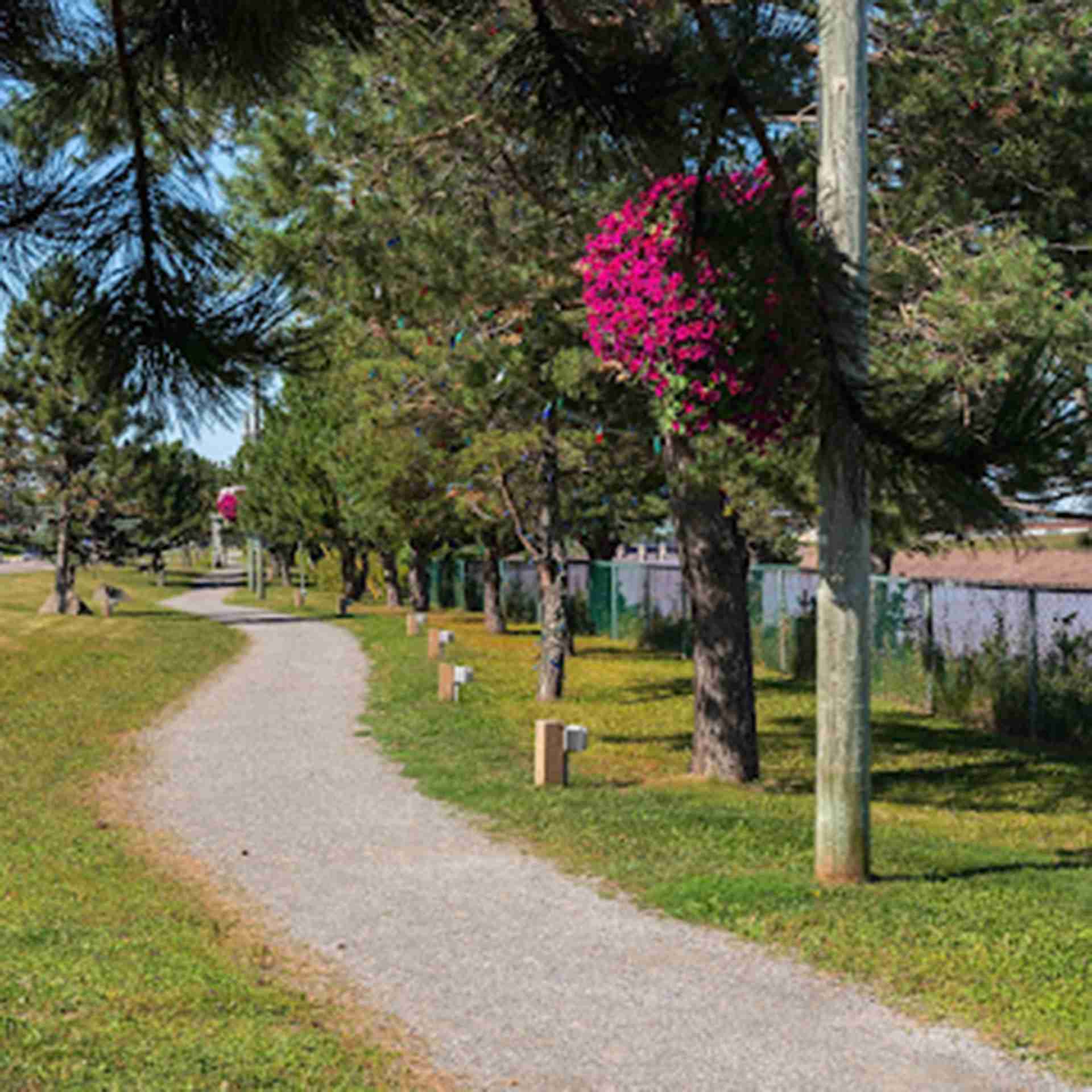 Riverview New Brunswick A Great Place To Grow Where Adventures Await