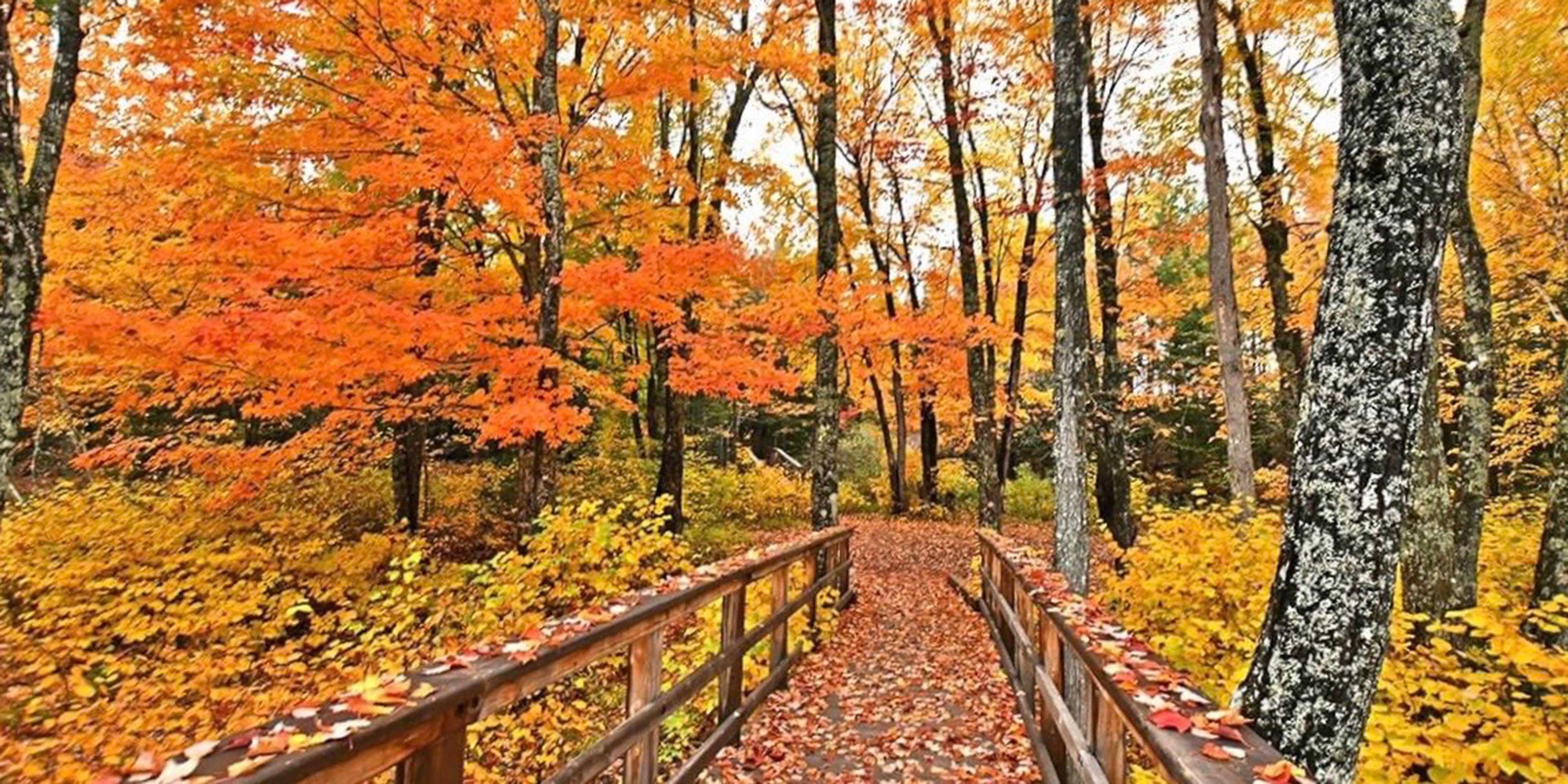 Dobson Crossing Master Planned Community Riverview